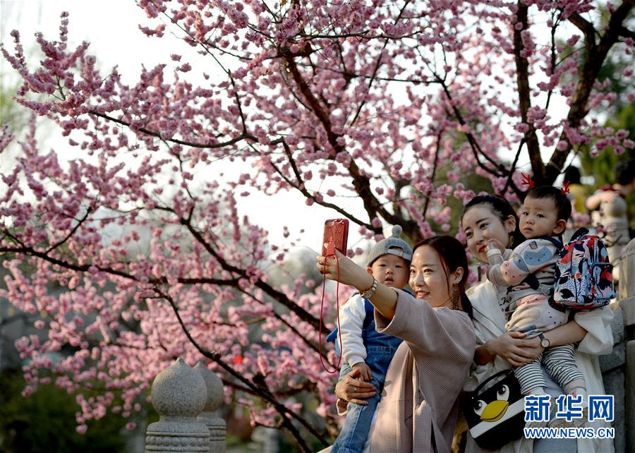 陝西西安：春暖花開競芳菲