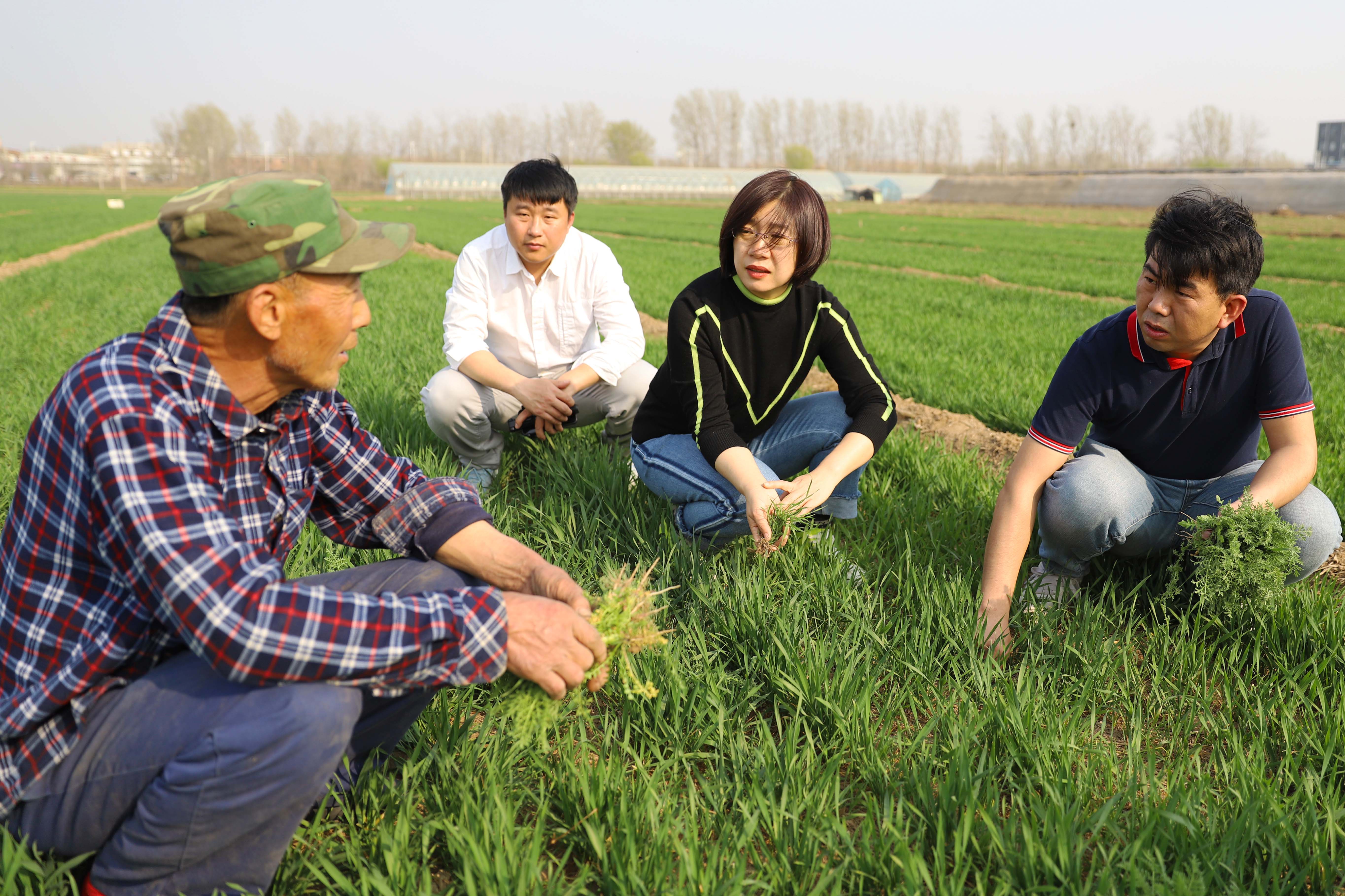 图片默认标题_fororder_宋金秀深入田间为村民传授小麦春管技术。熊华明摄