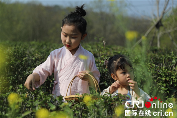 荊門漳河新區舉辦首屆花朝節賞花雅集活動_fororder_圖片9