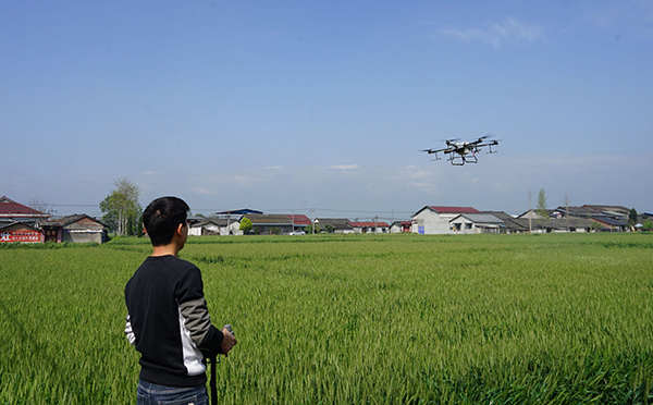 四川绵竹：植保无人机“飞”入田间地头 守护粮食安全_fororder_mmexport1680596714048