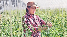 石墨烯为乡村振兴注入新“烯”望
