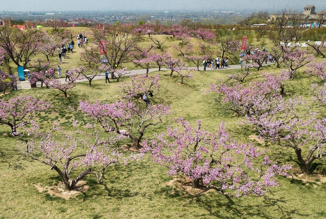 “农业景区”美了乡村 鼓了百姓“钱袋子”