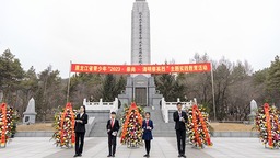 黑龙江省青少年清明多种形式缅怀致敬英雄先烈