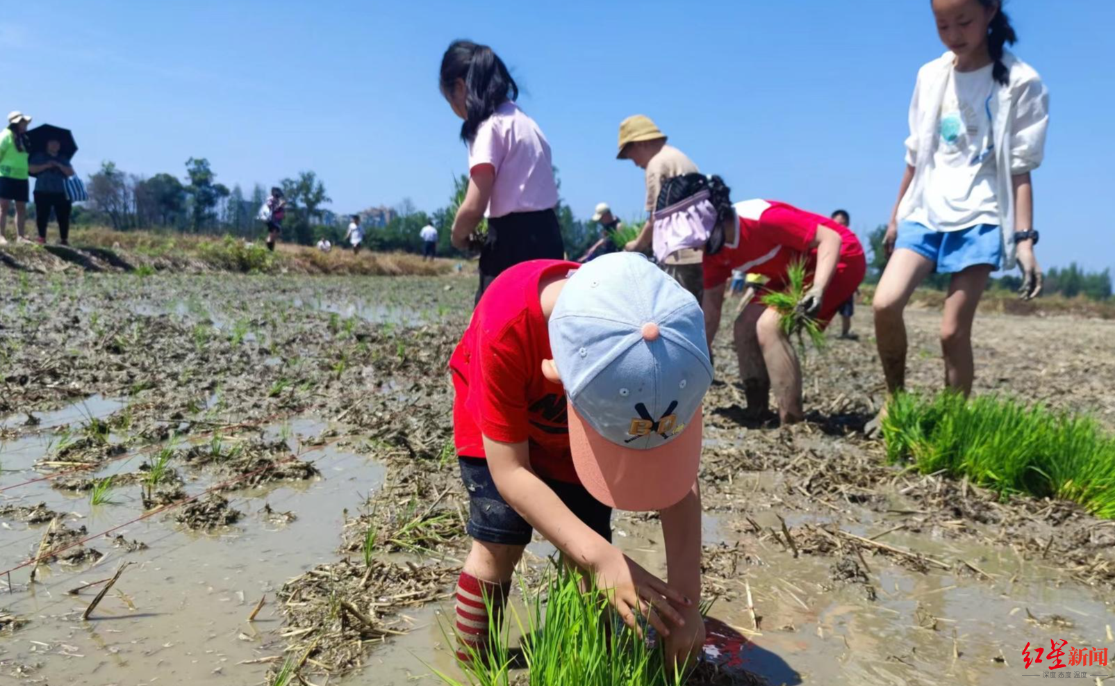 成都环城生态区：一张蓝图绘到底的城市“生态项链”_fororder_18