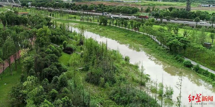 成都环城生态区：一张蓝图绘到底的城市“生态项链”_fororder_4