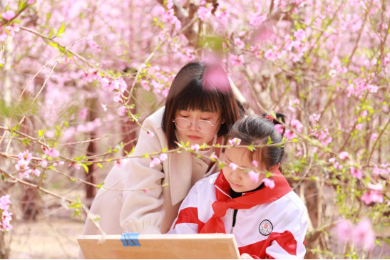 （原创）河北邱县：暖阳下春风里，朵朵桃花映红天_fororder_河北邱县：暖阳下春风里，朵朵桃花映红天241