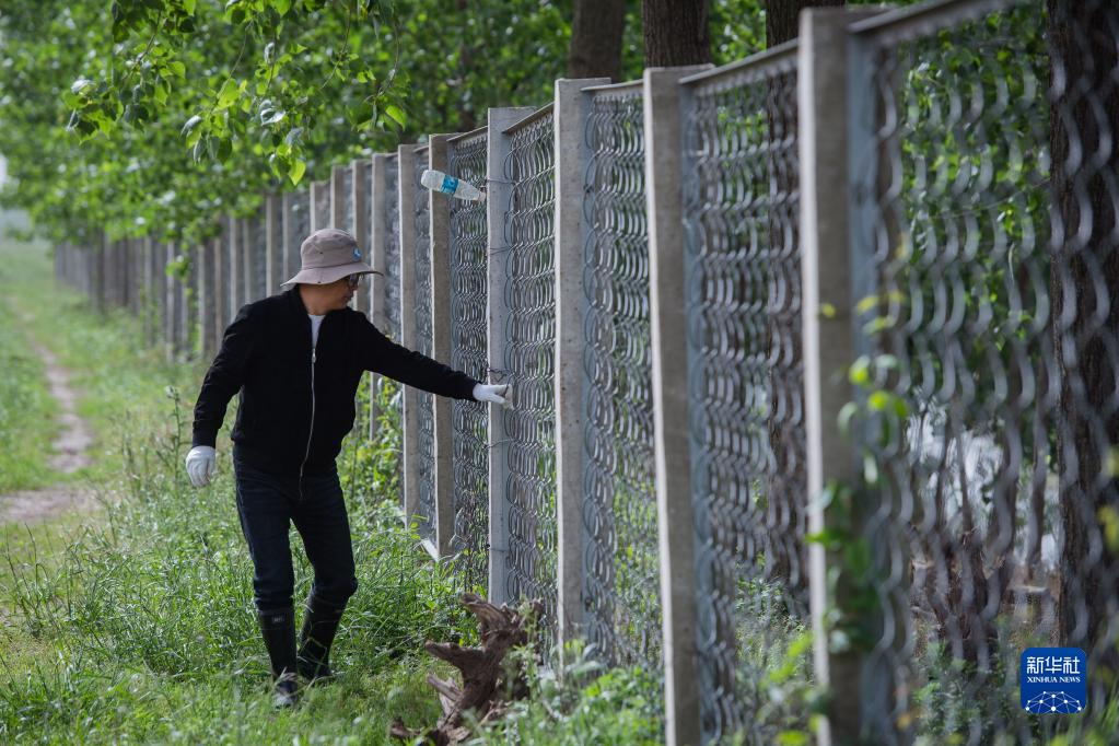 守护一方呦呦鹿鸣：春日的新生