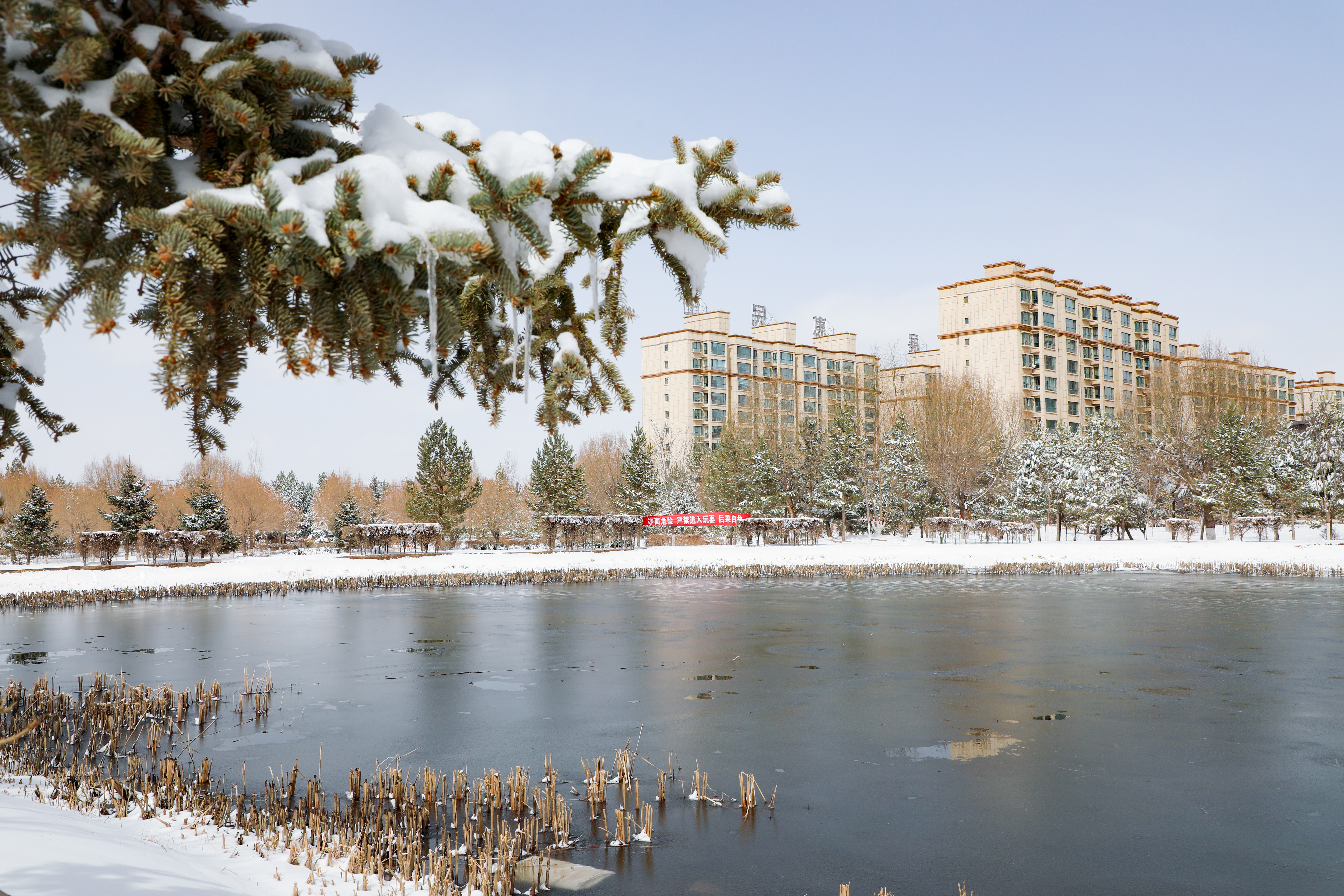 【原創】【輪播】張掖民樂縣：春雪之後 民樂大地銀裝素裹_fororder_春雪過後，民樂縣城一片銀裝素裹，一副絕美的江南畫卷，仿佛進入了童話世界一般1。王曉涇攝