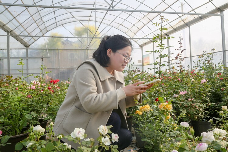 图片默认标题_fororder_3