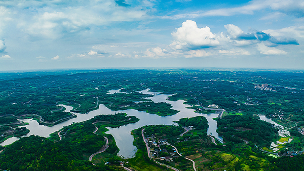 自贡青龙湖湿地公园图片