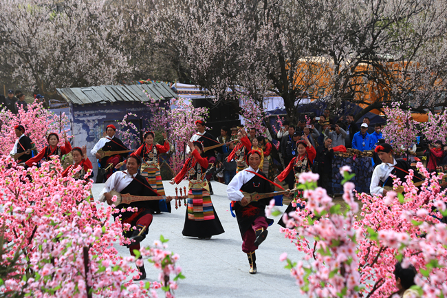 西藏林芝桃花旅遊文化節