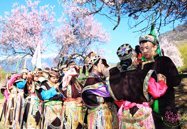 西藏林芝桃花旅遊文化節