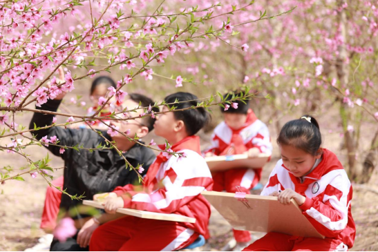 （原创）河北邱县：暖阳下春风里，朵朵桃花映红天_fororder_河北邱县：暖阳下春风里，朵朵桃花映红天509