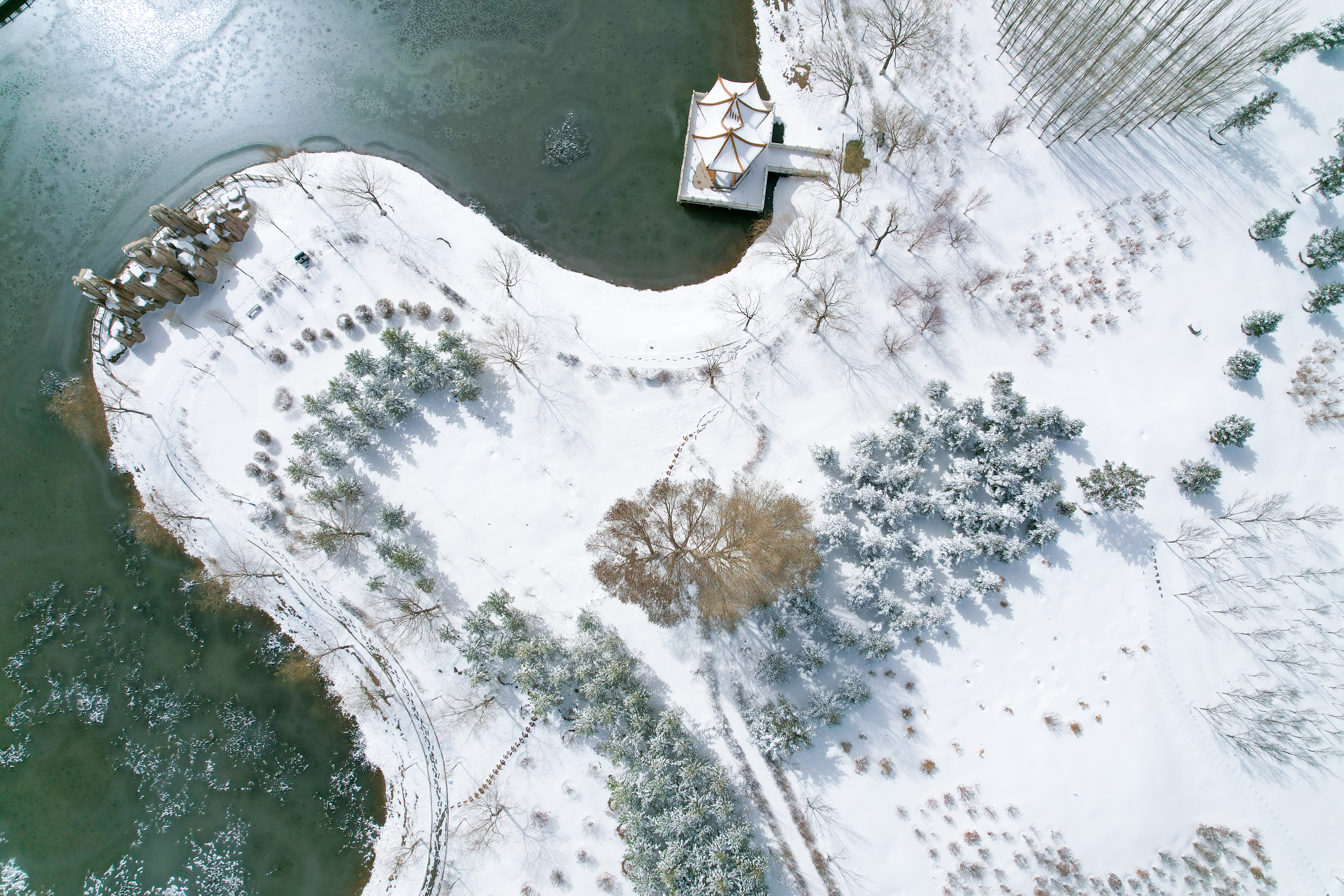 【原創】【輪播】張掖民樂縣：春雪之後 民樂大地銀裝素裹_fororder_春雪過後，位於城西的民樂公園被春雪輕掩，人工湖與河岸相互映襯。陳思宏攝