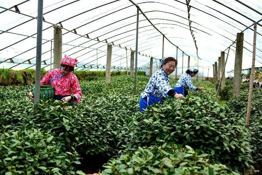 图片默认标题_fororder_图片88