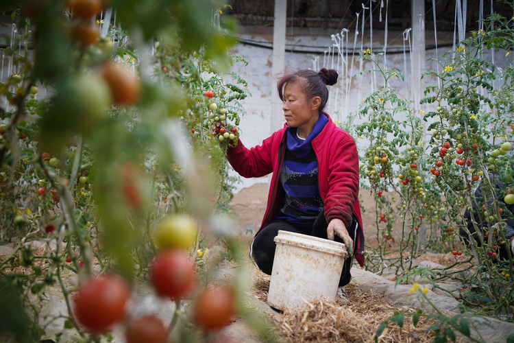 图片默认标题_fororder_图片23