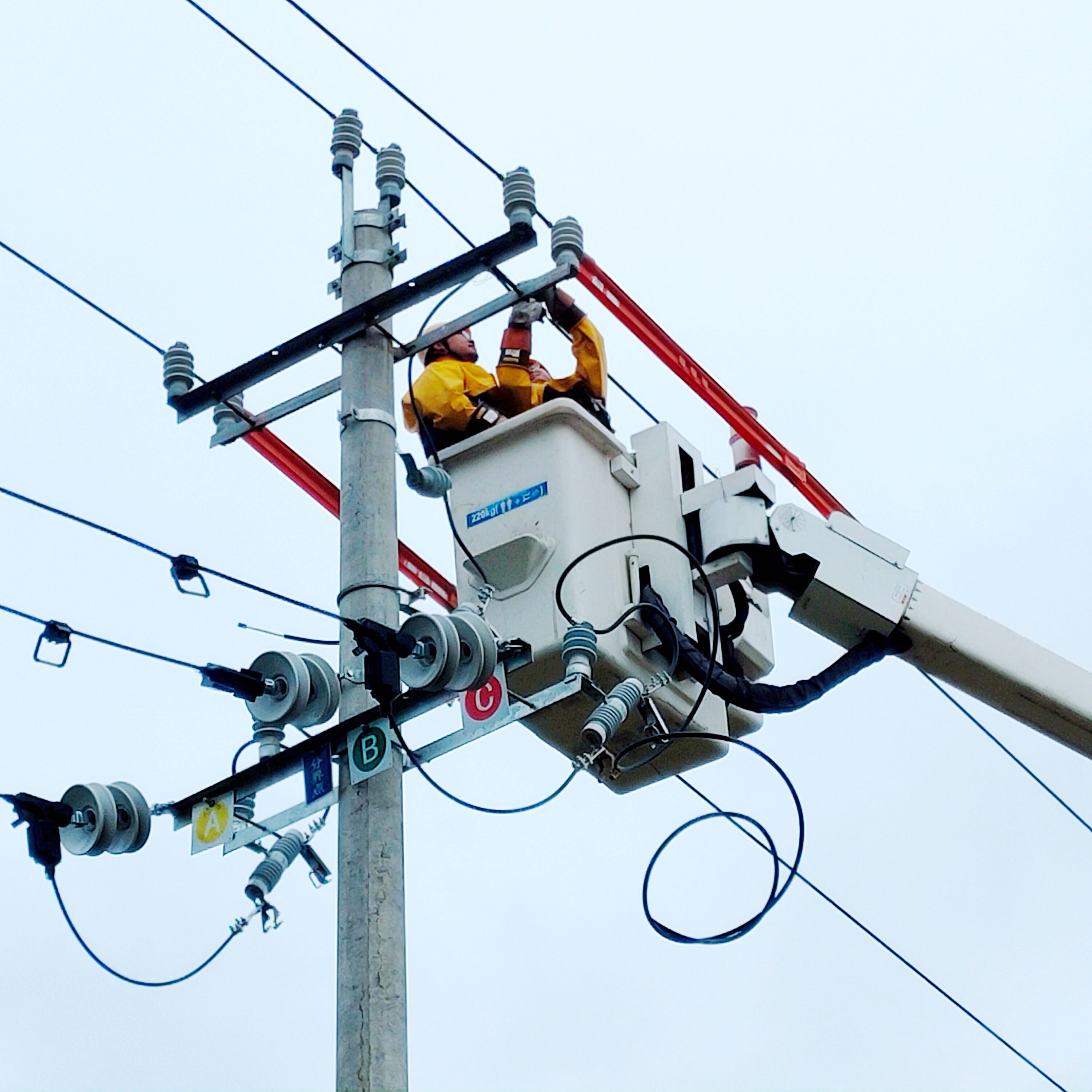 国网陕西电力：优质服务彰显企业担当 跑出乡村振兴“加速度”_fororder_宝鸡陈仓1