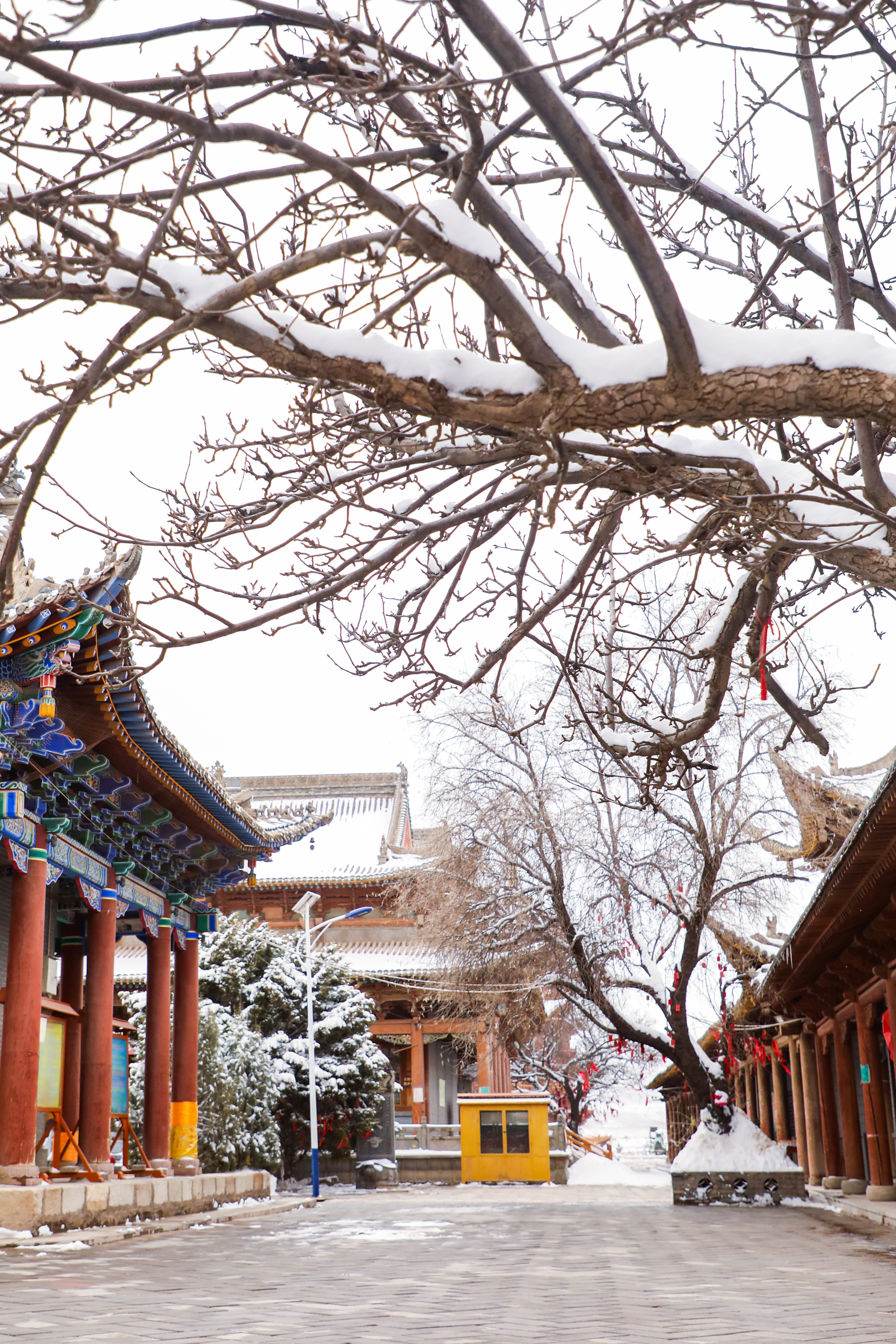 【原创】【轮播】张掖民乐县：春雪之后 民乐大地银装素裹_fororder_一场春雪，为圣天寺涂抹出横亘的古意1。王晓泾摄