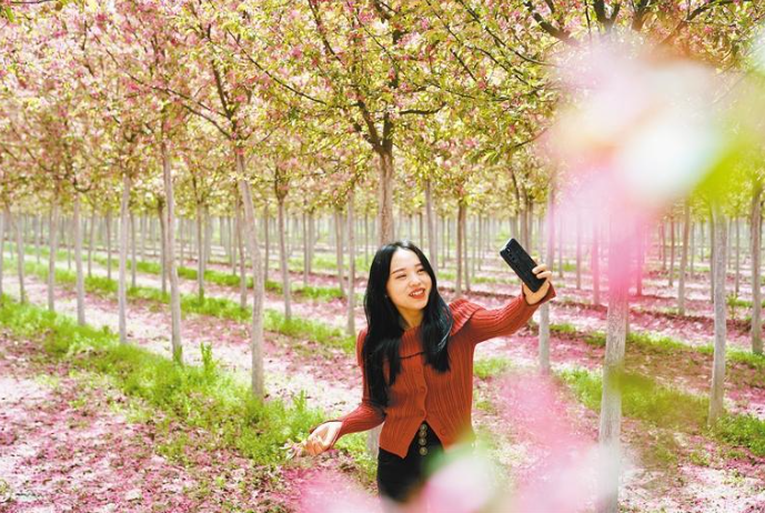 踏青赏花 美醉了_fororder_微信图片_20230407084527