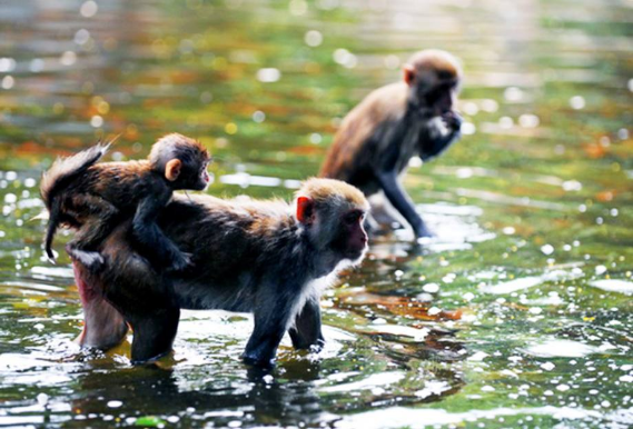 图片默认标题_fororder_图片2