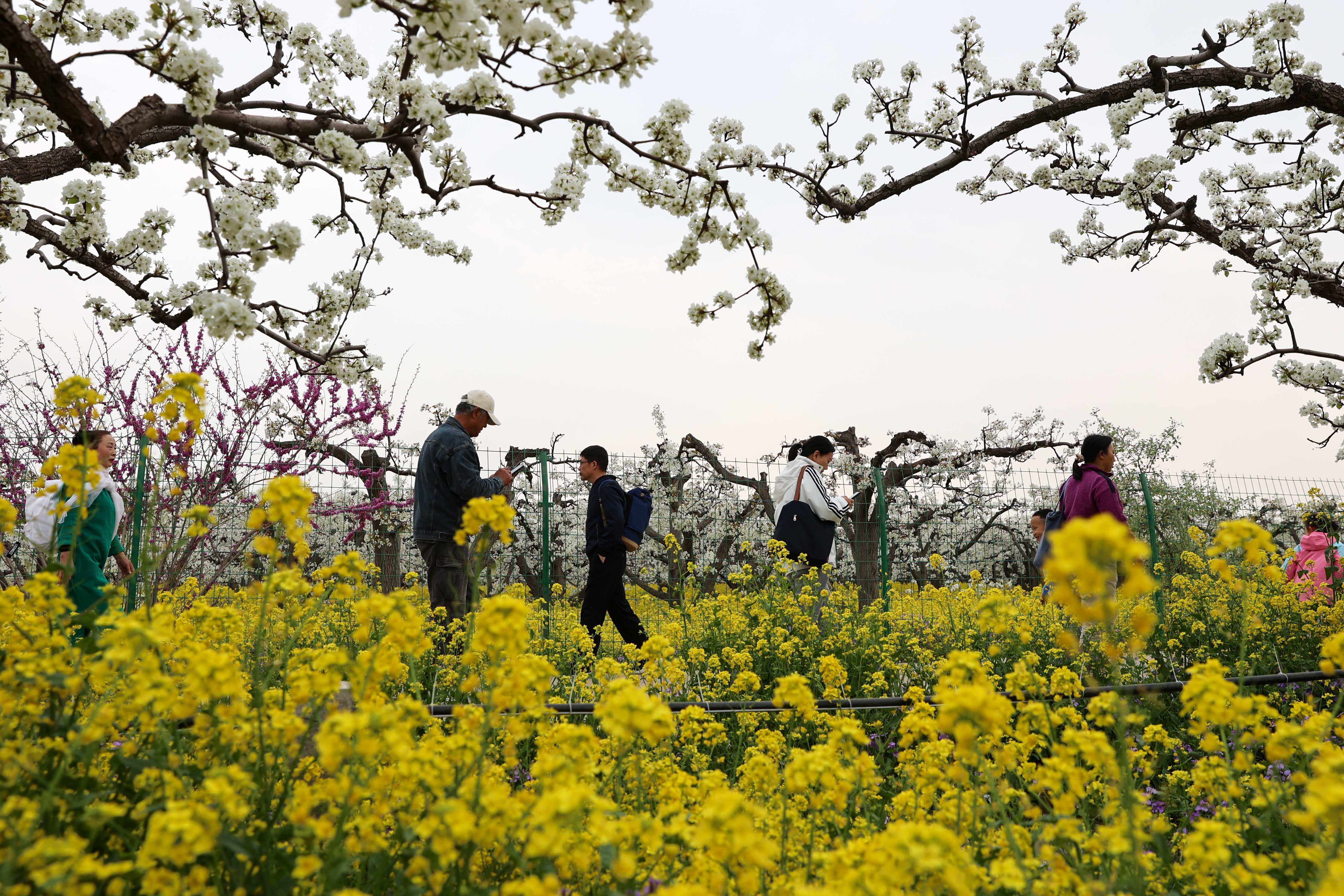 图片默认标题_fororder_图片28