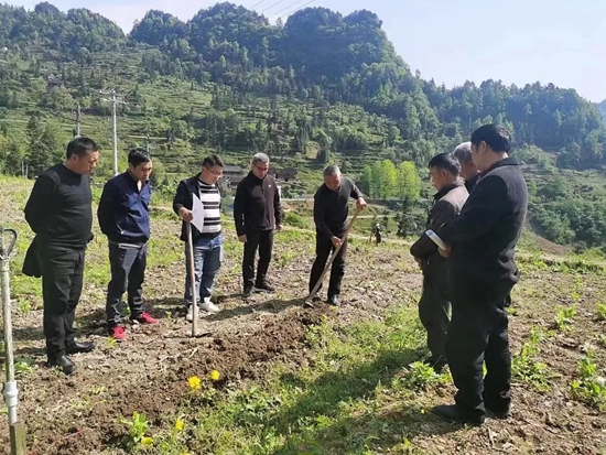 (供稿)貴州都勻:奏響春耕春播“進行曲”_fororder_1683336830297