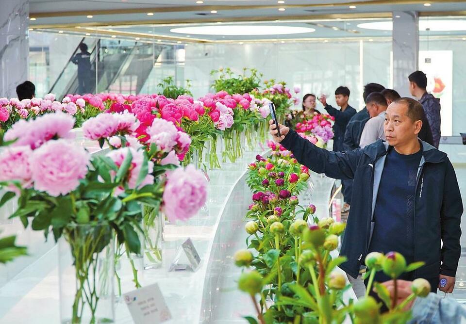 昆明国际花卉拍卖交易中心菏泽分中心投用_fororder_f1df