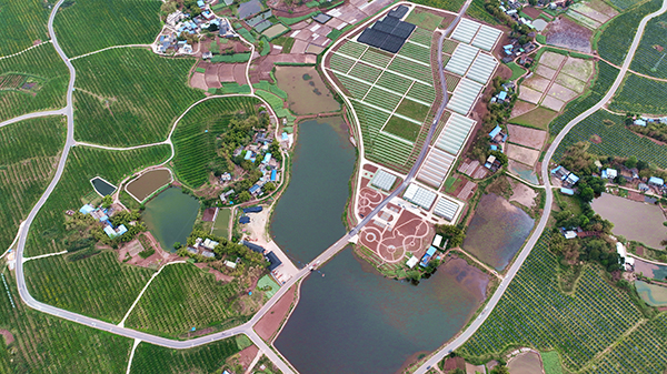 眉山仁寿：科技赋能 集群发展 柑橘产业迈上新台阶_fororder_航拍仁寿县橙色田园万亩柑橘产业基地-供图-仁寿县委宣传部