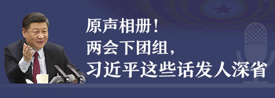 原聲相冊！兩會下團組，習近平這些話發(fā)人深省