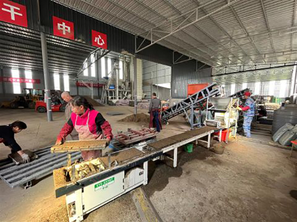 德阳旌阳：春耕正当时 工厂化育秧“科技范儿”十足_fororder_mmexporte0c7abd64491131196e46b82043c7a61_1681097025518
