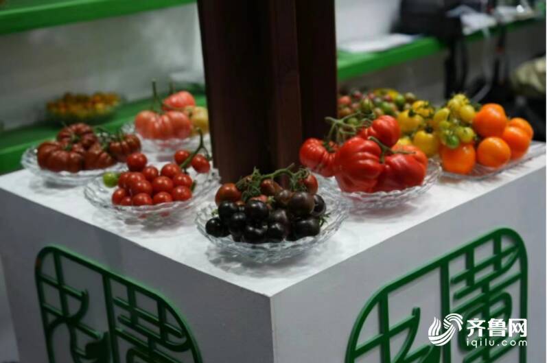 菜博会本土番茄引关注 在全国二十多个省份迅速落地