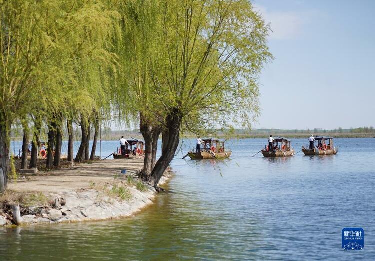 白洋淀“水上巴士”即将开通运营