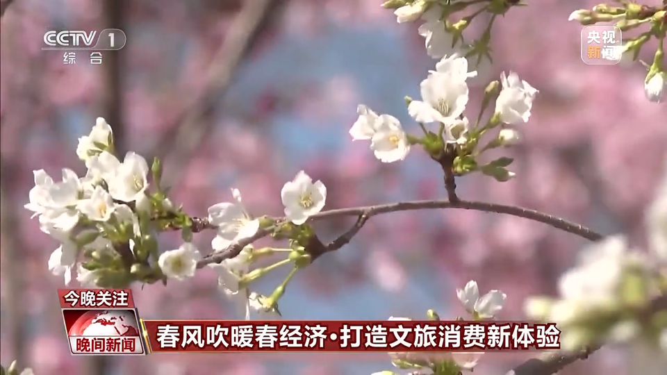 春日市集、房车露营、竹筒奶茶 春暖花开之际各地消费亮点多