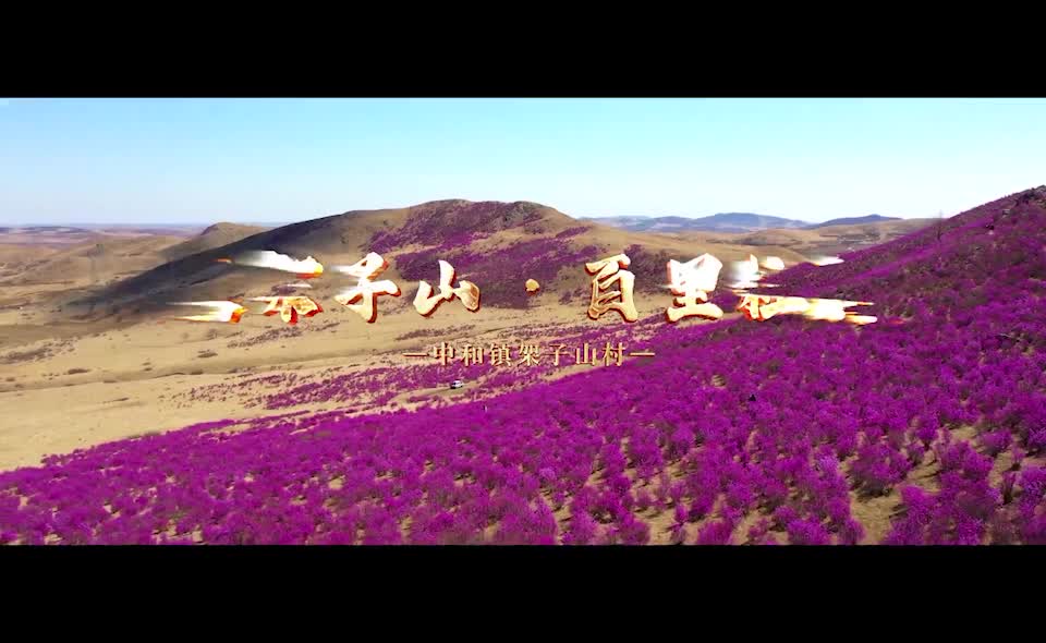 最美架子山百里杜鹃艳