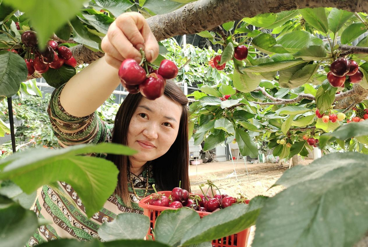 圖片默認標題_fororder_圖片74