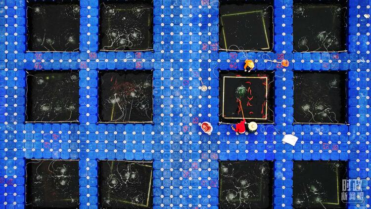 时政新闻眼丨习近平赴湛江考察，承载哪些战略考量？