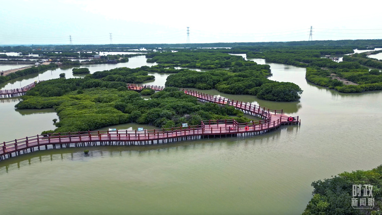 时政新闻眼丨习近平赴湛江考察，承载哪些战略考量？