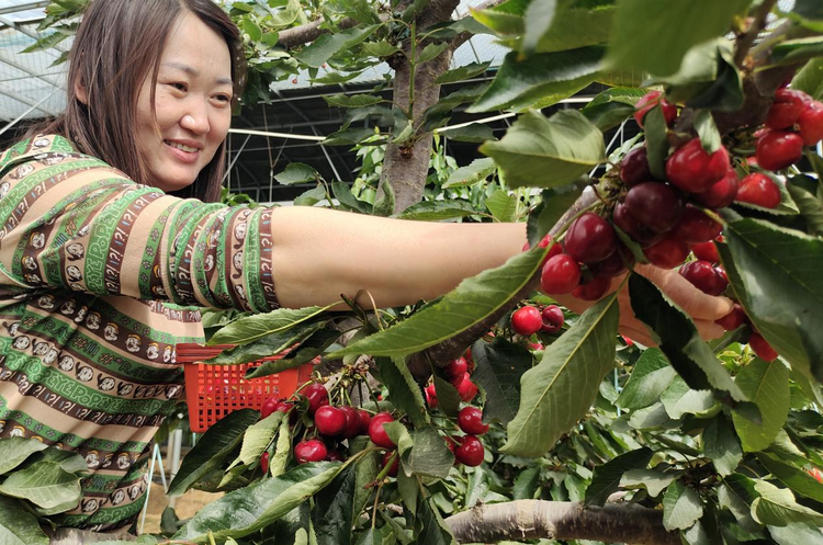 圖片默認標題_fororder_圖片75