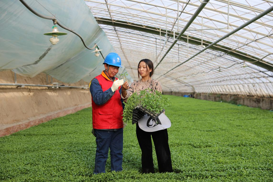 国网陕西电力：以优质服务撑起乡村“致富伞”_fororder_图片2