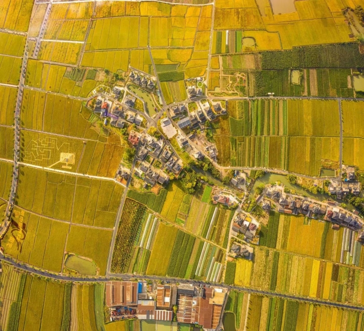 事關每個人飯碗！這件KPI考核數據為零的大事浙江要怎麼幹？_fororder_1681264737002_6436106149d31a00017290ba