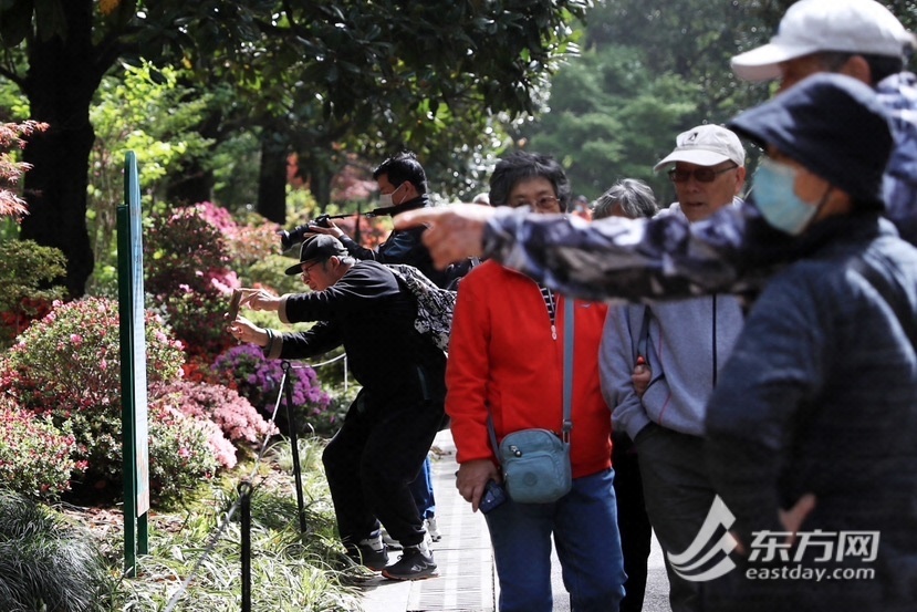 【图说上海】2023上海（国际）花展开幕