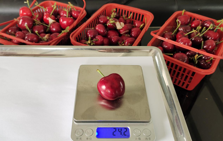 圖片默認標題_fororder_圖片76