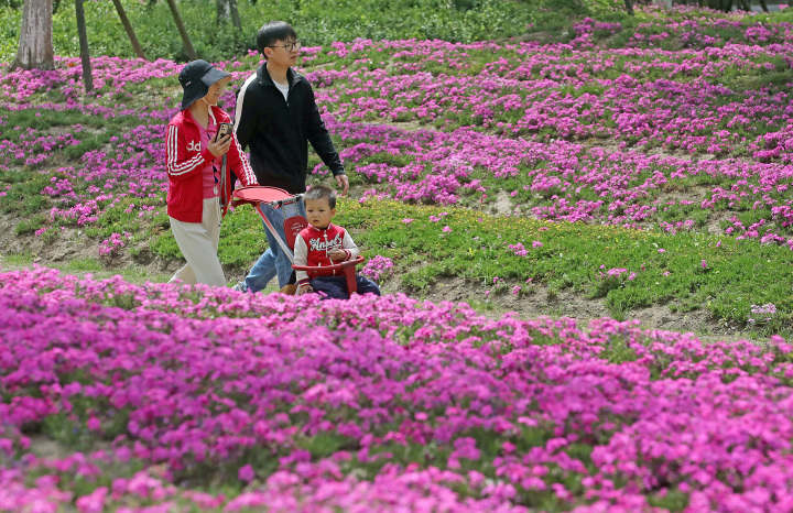 杭州：机场路绿廊春色绚丽_fororder_1681308614020_6436bbc649d31a000172bbdb