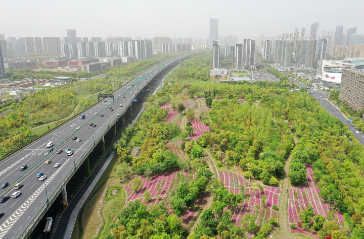 杭州：机场路绿廊春色绚丽_fororder_1681308611733_6436bbc349d31a000172bbd5