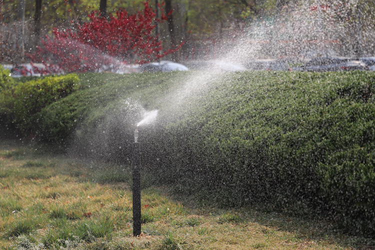 图片默认标题_fororder_图片101