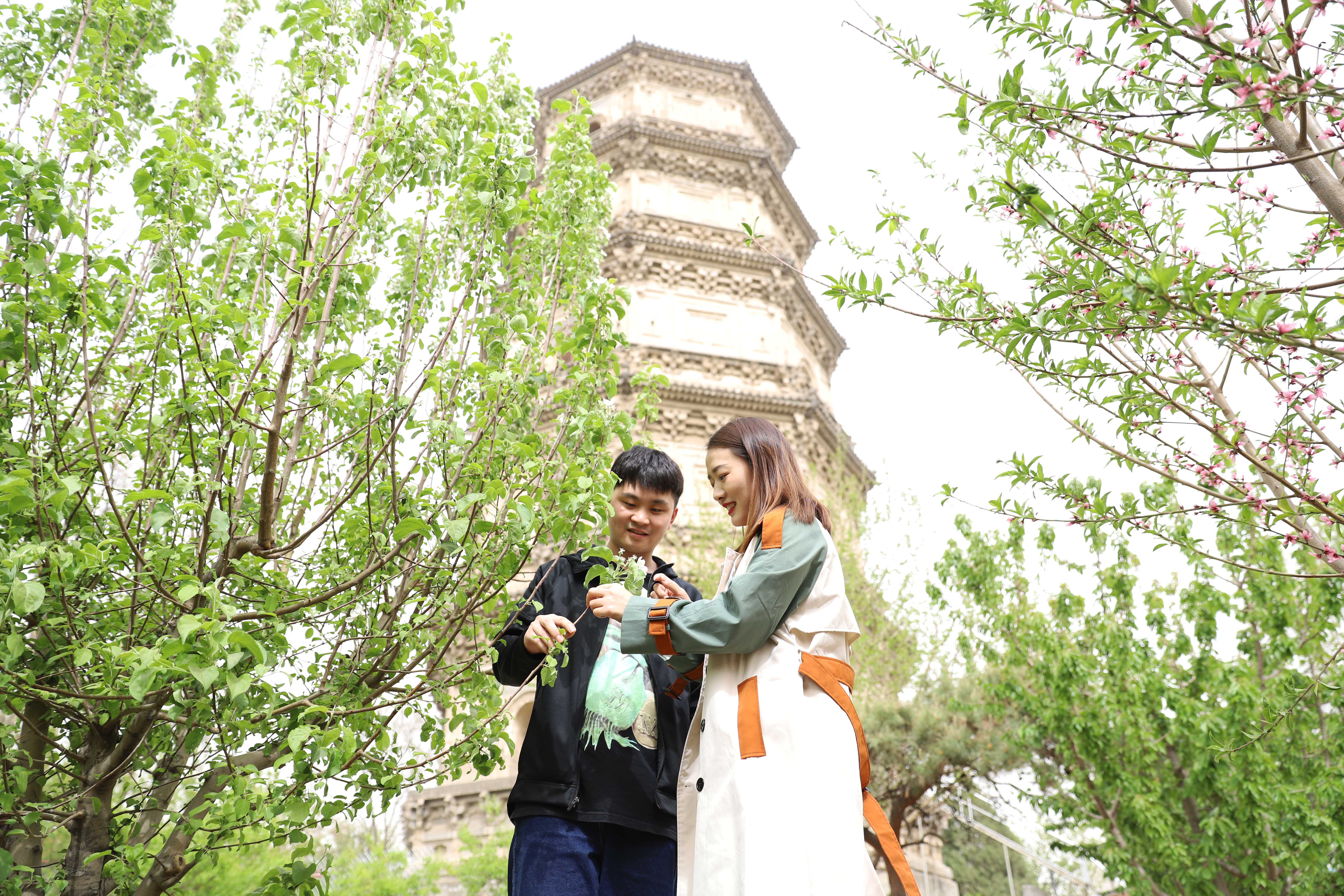 图片默认标题_fororder_4月12日，游客在绿树春花掩映的智度寺塔下游玩。熊华明摄