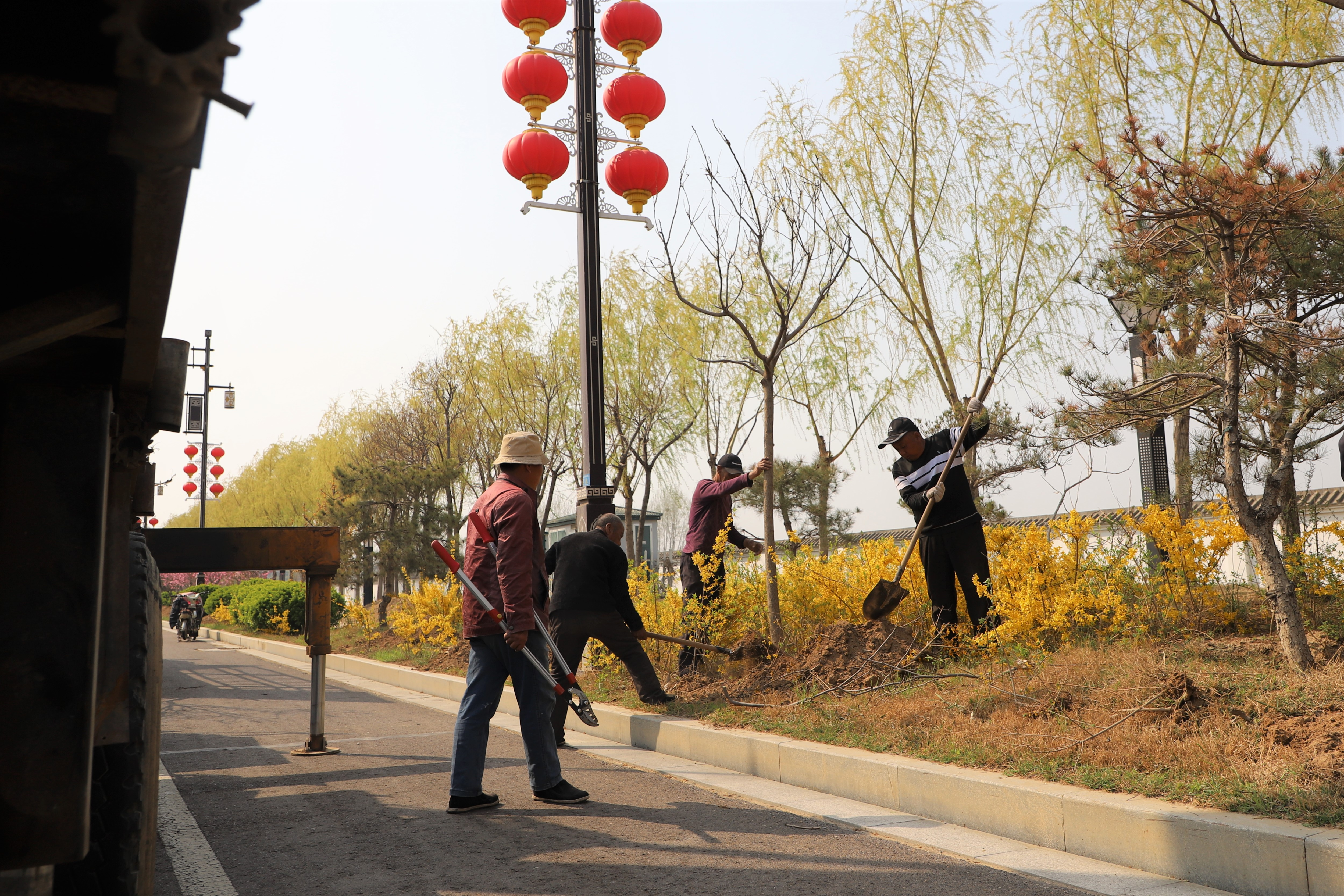 图片默认标题_fororder_图片97