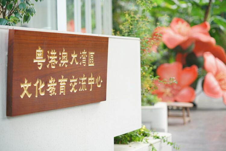 领略非遗风采，探索湾区未来：百名香港新入职教师来穗研习