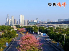 【央視快評】在推進中國式現代化建設中走在前列