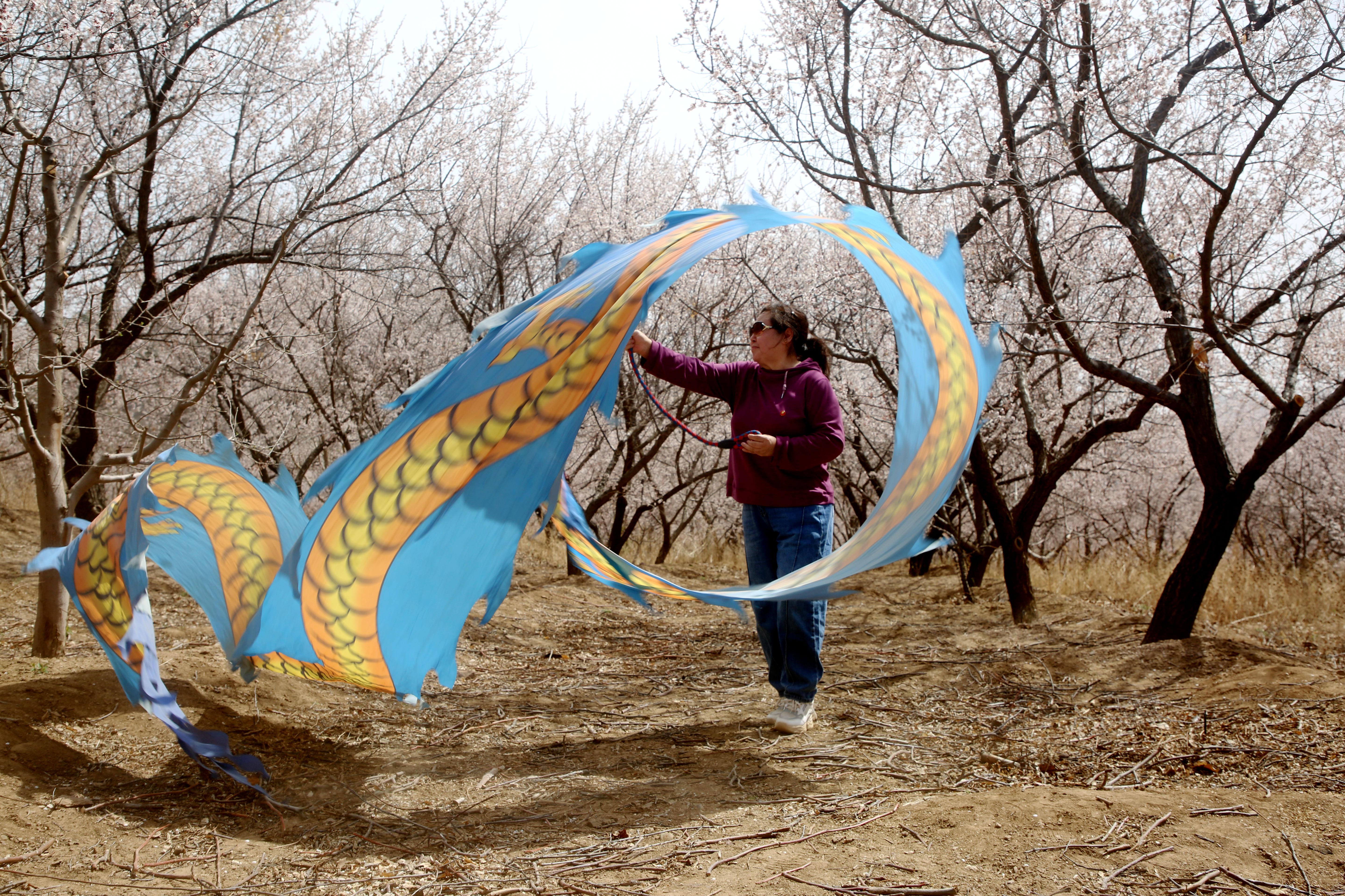 图片默认标题_fororder_图4：4月12日丰宁山花节游客赏花 程里摄